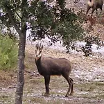 Βίλα Les Oliviers Du *