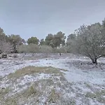 Les Oliviers Du Βίλα Esparron-de-Verdon