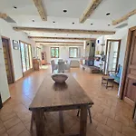 Les Oliviers Du Villa *