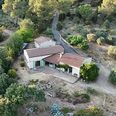 Villa Les Oliviers Du