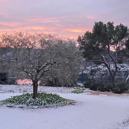 Les Oliviers Du Vila Esparron-de-Verdon