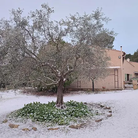Vila Les Oliviers Du