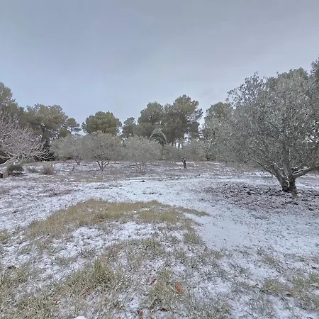 Les Oliviers Du Vila Esparron-de-Verdon