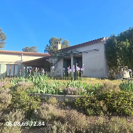 Les Oliviers Du Vila