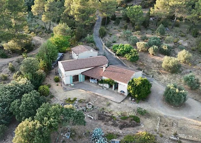 Villa Les Oliviers Du