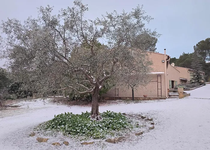 别墅 Les Oliviers Du