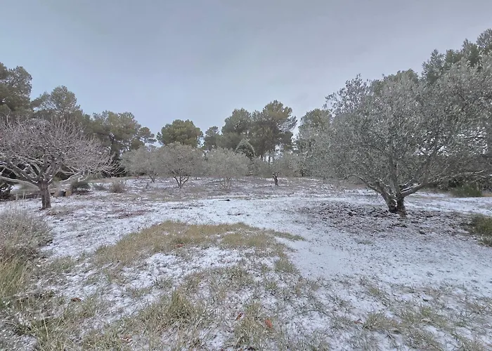 Les Oliviers Du 别墅 韦尔东的埃斯帕隆